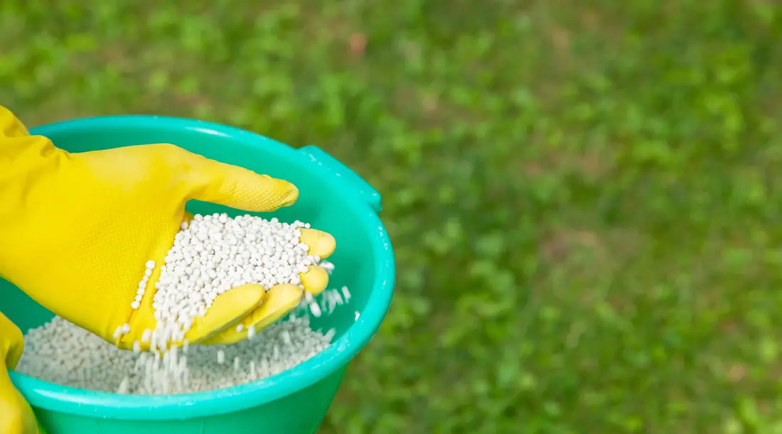 Jarné hnojenie trávnika: Kedy, čím a ako hnojiť pre dokonalý vzhľad